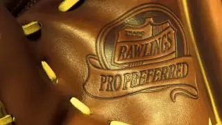 Rawlings Pro Preferred Series: PROS303-6BR