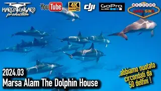 2024 - MARSA ALAM Dolphin House