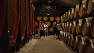 Klet Brda Winery - Leading Organic Producer of Rebula in Slovenia's Primorska Region