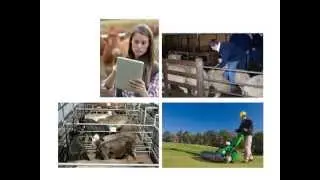 Rural Skills Online