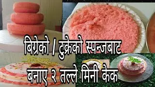 2 tier mini cake of 1 pound  || let's learn and grow together 🤗||BWS