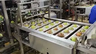 Apple peeling and coring processing production line