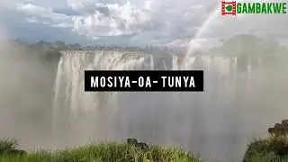 17 января 2025 г.: уровень воды в тропическом лесу водопада Виктория