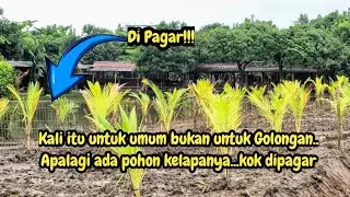 TERNYATA BENAR KALI WADAS DIPAGAR DI PEMANCINGAN AJO❗️#kdm 