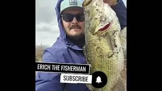 7 lbs Largemouth Bass Catch🎣 Fishing Method Berkley Slobber Knocker  Video#berkleyfishing#bigfish#ob