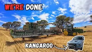A Kangaroo & A Breakdown For The Last Paddock | Harvest Complete | Wheat Harvest Australia 2025