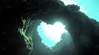 COWBELL DYNASTY - OUT OF LOVE
