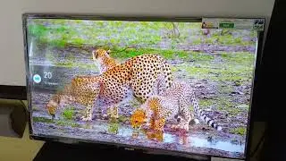 samsung 32 inch smart tv unboxing and testing Tamil  📺 from amazon great indian sale 🎉✨ only 9990👌