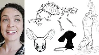 Animal Character Design | Adobe Creative Residency Grant