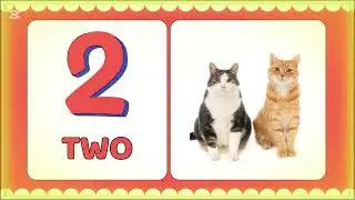 Learn to Count 1 to 10! | 123 Number Song for Toddlers & Kids #counting #kidsvideos #123counting