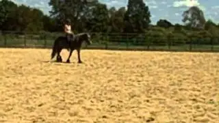 VID00636