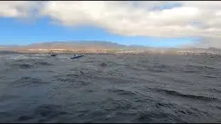 🌊 Navegaci&oacute;n en Embarcaci&oacute;n Semirr&iacute;gida de Neopreno en el Oc&eacute;ano Atl&aacute;ntico 🚤