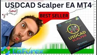 USDCAD Scalper EA MT4 Review + Setting | EA Forex Store