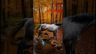 Curious Horse Squeezes Through at Autumn Forest Stream 🍂🐎 #shorts