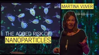 The added risk of size: nanomaterials and nanoparticles with Martina Vijver