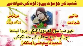 Pashto New Noha || Shaheed Qasim Ali|| Khair Dy mor ka bora kigi parwa nishta || 2023 ||
