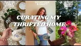 Antique Haul, Winter Sowing Seeds & Thrifted Table Styling | Cozy February Vlog
