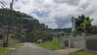 Driving through Cherry Gardens | Jamaica