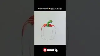 Capsicum Drawing Easy | #drawing #art #youtube #video #shortvideo #shorts #artist