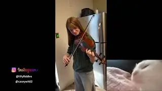 cool country/trap song i found on instagram (@lillyfiddles & @caseywh02 )