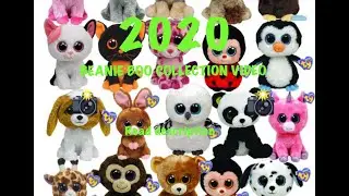 2020 beanie boo collection video