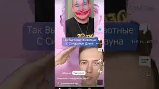 Так выглядят животные с синдромом дауна