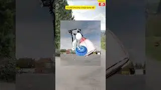 I found amazing creepy spray #googlemaps #googlepic #viralvideo #trending