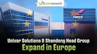 Univar and Shandong Group Forge Partnership for Cellulose Ether and Pharmaceutical