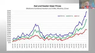 2025 Beef Market Outlook: Cow Herd Declines, Prices, Feedlot Trends & What&rsquo;s Next