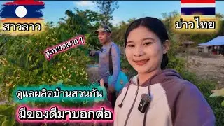มีของดีมาบอกต่อต้องทดลองใช้ ดูแลผลผลิตที่บ้านสวน