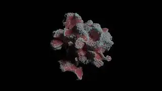 Aera - Prana