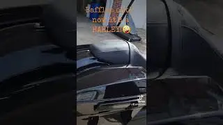Road King Special with Cobra Neighbor Haters no Baffles!