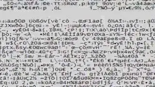 Hacker OWNED by Duke