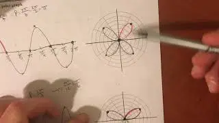 Polar Graphs: Rose Curves [Part 2]