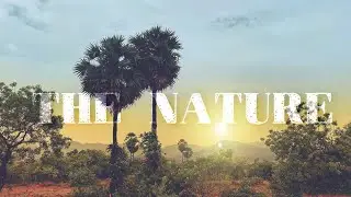 Nature Cinematic Video | The Nature | B-Roll video