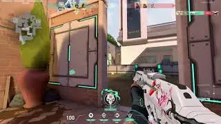Montage (TazTheMan)