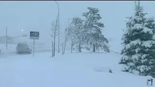 Destructive snow storm hits Colorado Springs