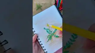 Live Plant Drawing🌿Real-Time Art with Colours #shortsart #livedrawing #colours #art #plants