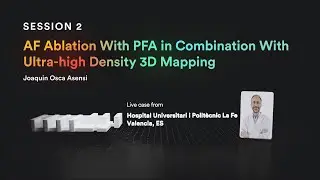 Innovative AF Ablation: PFA and Ultra-High Density 3D Mapping Combined