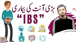 Irritable Bowel Syndrome or IBS | Best Treatment for IBS | Creative Edu