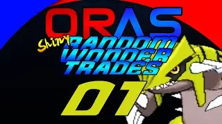 Pokemon Omega Ruby and Alpha Sapphire Wonder Trades - SHINY Random Wonder Trades: Ep 1 ~ALL NIGHTER