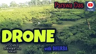 DRONE in gohpur (Brahmajan Tea Garden)