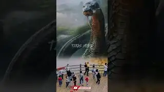 OMG!! shocked, suddenly a giant python appeared #shorts #snake #viral