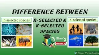 Difference between r-selected & k-selected #species.