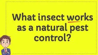 What insect works as a natural pest control?