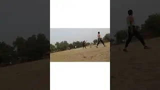 local cricket