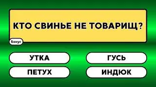 Викторина! Сможете набрать 30/30?     #знания #эрудиция #викторина #ответ