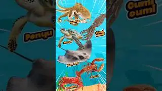 Kepiting, Lobster, Penyu #kepiting #crab #lobster #animal #animals #animalshorts #hewan