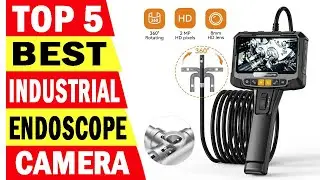 Top 5 Best Endoscope Camera In 2024