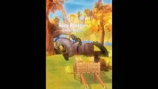 Horse riding tales 
